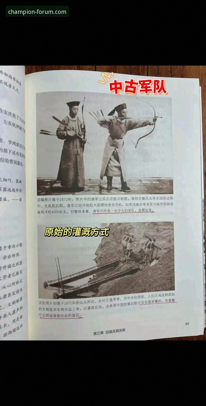 冠军白菜网使用指南全面解析：从官网下载到账户安全，一篇读懂