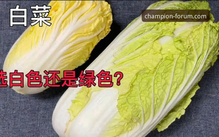 冠军白菜网安装教程与实用技巧：从新手到高手的完整操作指南