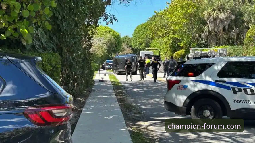 老虎伍兹药物影响驾驶事件深度解读：从冠军白菜网论坛看体育巨星坠落全过程